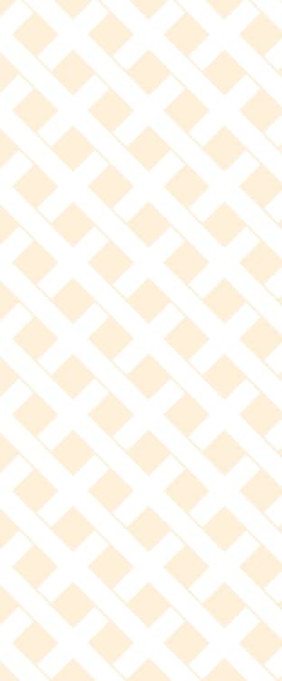 Custom Design & Bulk Orders